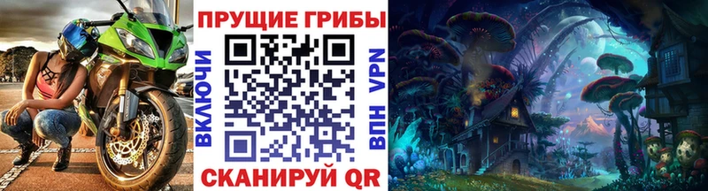 купить   Бакал  Псилоцибиновые грибы GOLDEN TEACHER 