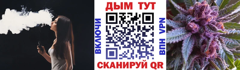 Шишки марихуана семена  Бакал 